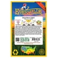 thumbnail image 2 of Everwilde Farms - 1000 Snow White Carrot Seeds - Gold Vault Jumbo Bulk Seed Packet, 2 of 4