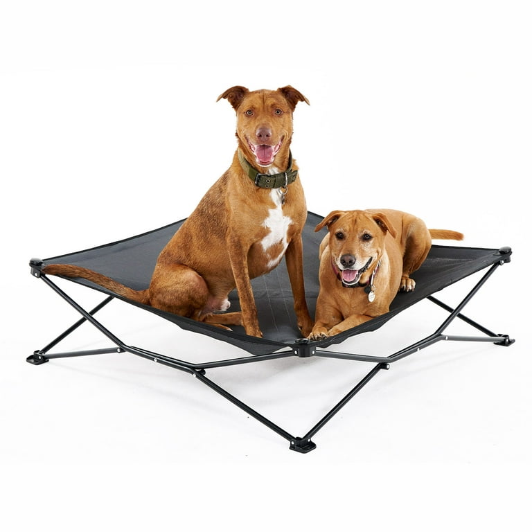 Folding dog cheap bed