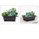 thumbnail image 4 of Rawiri 10 macetas de entrenamiento para bonsái con bandeja de plástico, macetas para plantas bonsái para jardín, patio, dormitorio, balcón, 16,5x12 cm, 4 of 6
