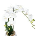 thumbnail image 3 of Anko Artificial Orchid in White Pot, 3 of 6