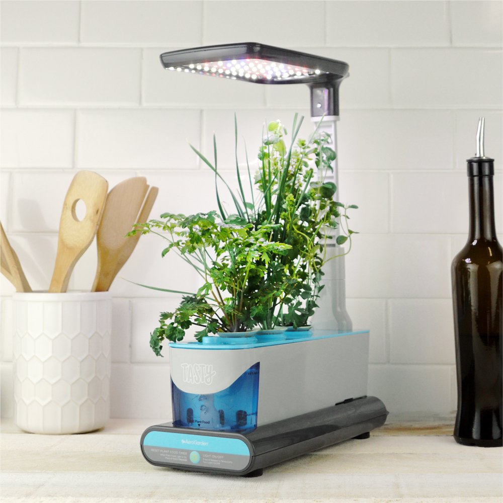 Tasty Sprout by AeroGarden with Southwest Seed kit