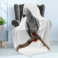thumbnail image 4 of Grey Soft Flannel Fleece Throw Blanket, Parrot Bird Psittacus Erithacus Standing on a Branch Tropical Nature Wildlife, Cozy Plush for Indoor and Outdoor Use, 50" x 60", Multicolor, by Ambesonne, 4 of 5