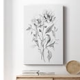 thumbnail image 6 of Wild Roses Sketch Premium Gallery Wrapped Canvas - Ready to Hang, 6 of 9