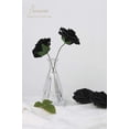 thumbnail image 2 of Flores artificiales Floroom, rosas falsas de espuma negra, 50 unidades, 2 of 5
