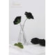 thumbnail image 2 of Flores artificiales Floroom, rosas falsas de espuma negra, 50 unidades, 2 of 5