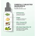 thumbnail image 4 of Aceite de romero Fast For Hair Aceite esencial Jengibre Anti Hair Loss Serum 50ml, 4 of 11