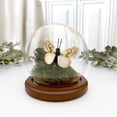 thumbnail image 3 of Plymor 3.5 inch x 4 inch Glass Display Dome Globe Cloche (Dark Wood Base), Pack of 6, 3 of 3