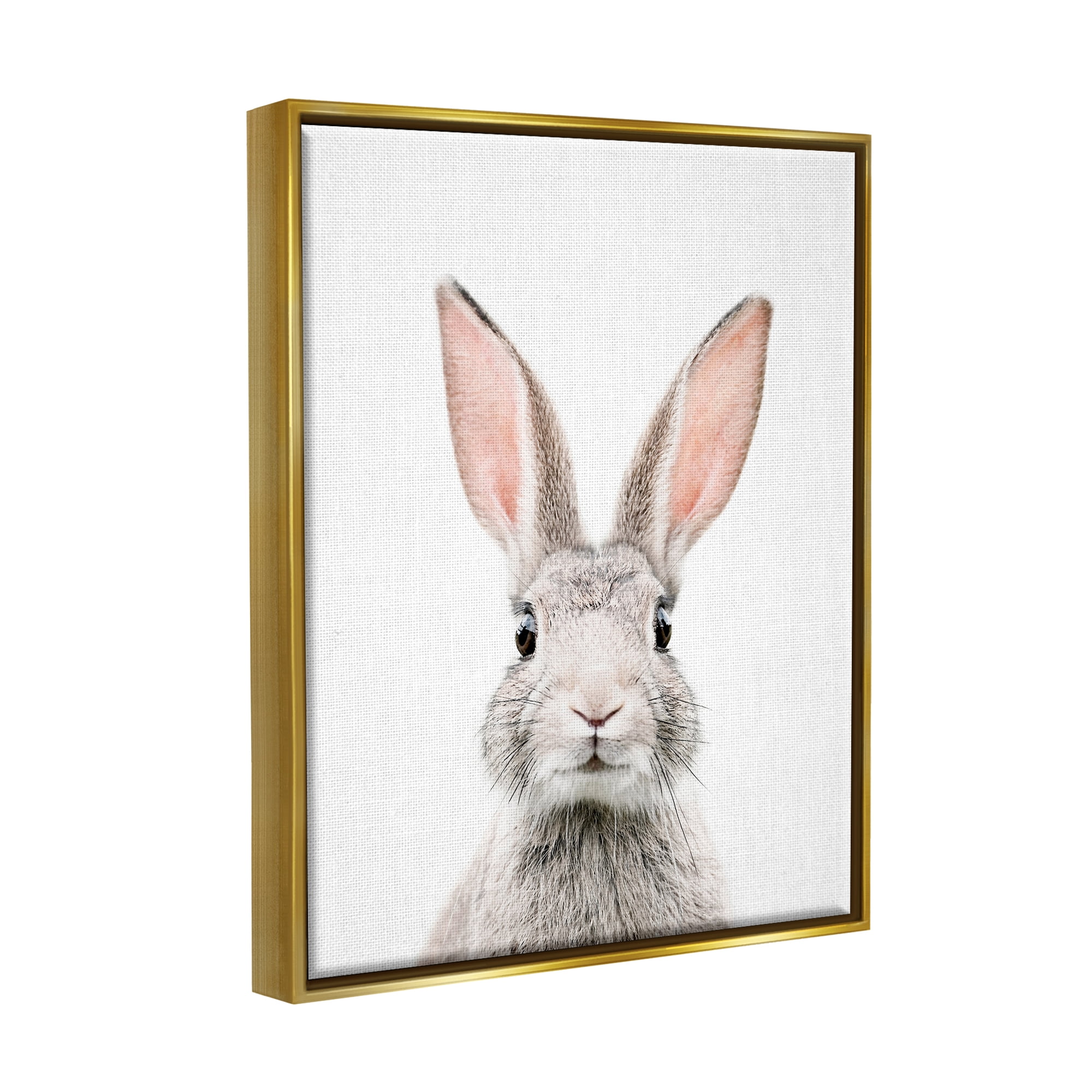 Stupell Industries Rabbit Face Portrait Animals & Insects Painting Gold Floater Framed Art Print Wall Art, 17 x 21