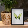 thumbnail image 4 of unbranded 3D Frame Shadow Box Pins Insect Display Box Natural Wood Educational Tool For Insect Enthusiasts 1 Pcs, 4 of 6