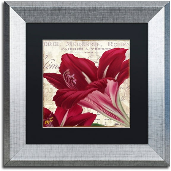 Trademark Fine Art "Amaryllis " Canvas Art by Color Bakery Black Matte, Silver Frame