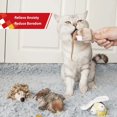thumbnail image 5 of Juguetes interactivos para gatos con sonido de animales, juguetes interactivos para gatos con sonido, juguetes para gatos y cazadores de melodías para jugar solos, jugar y chirriar, juguete para gatitos para el aburrimiento (1 paquete, pájaro) Rojo Verde MX-0128402FYD, 5 of 5