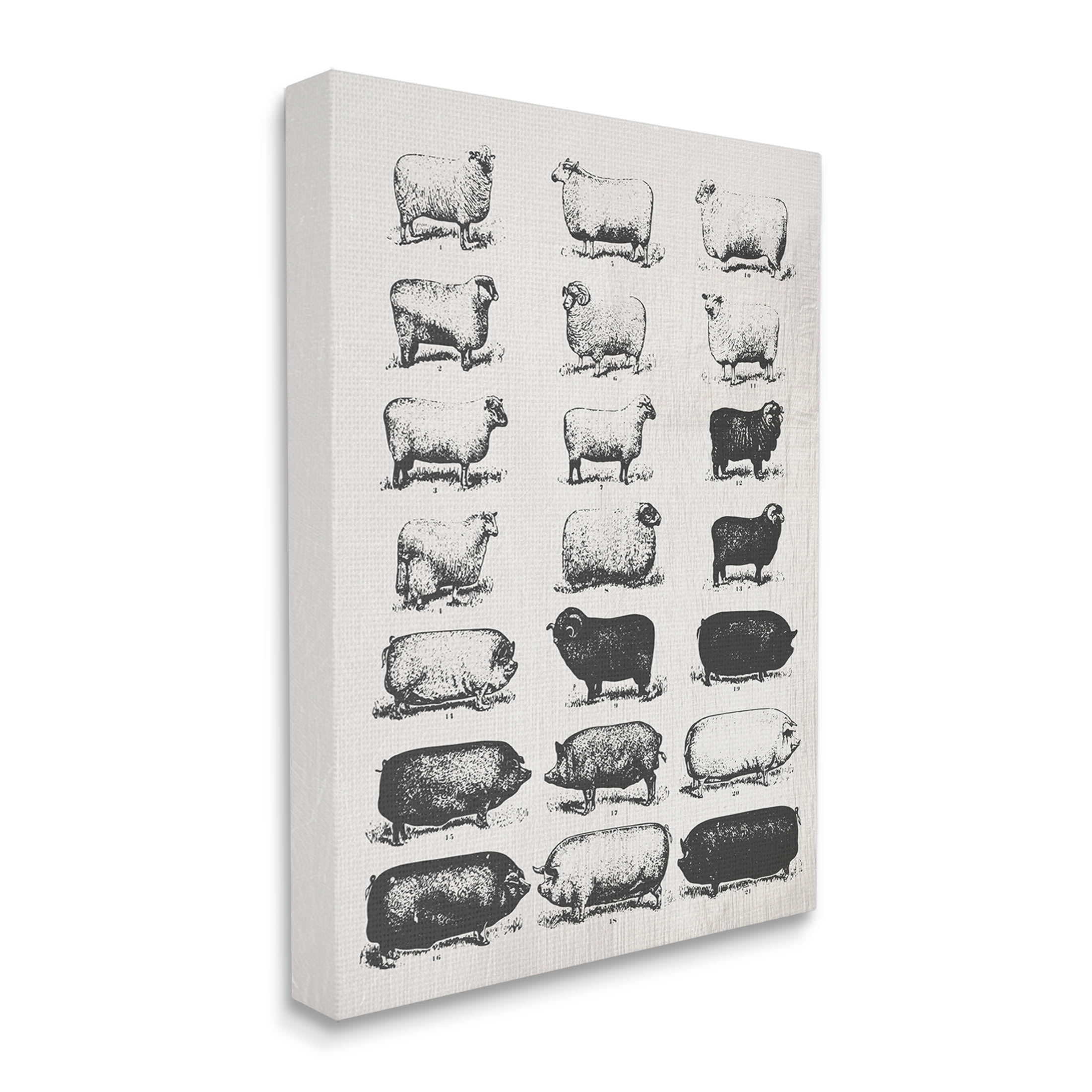 Stupell Industries Vintage Farm Animal Chart Graphic Art Gallery Wrapped Canvas Print Wall Art, Design by Daphne Polselli