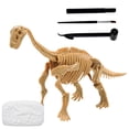 thumbnail image 1 of Archaeological Excavation Of Dinosaur Fossils Parent-Child Interaction Toy, 1 of 9