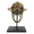 thumbnail image 6 of Ebros Faux Taxidermy Black Bear Skull Baring Teeth Statue On Pole Mount Display, 6 of 8