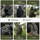 thumbnail image 3 of Paintball Ghillie Suit Camuflage 5pcs/Set S Hunt Relling Parts, 3 of 9