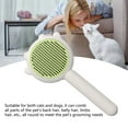 thumbnail image 4 of Pet Hair Cleaner Brush, Comfortable Multifunctional Cats Brush  For Dog Yellow,Green,Purple, 4 of 8