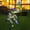 Multi-colored, variant on Landscape & Walkway Lights Purple Decorative Stake