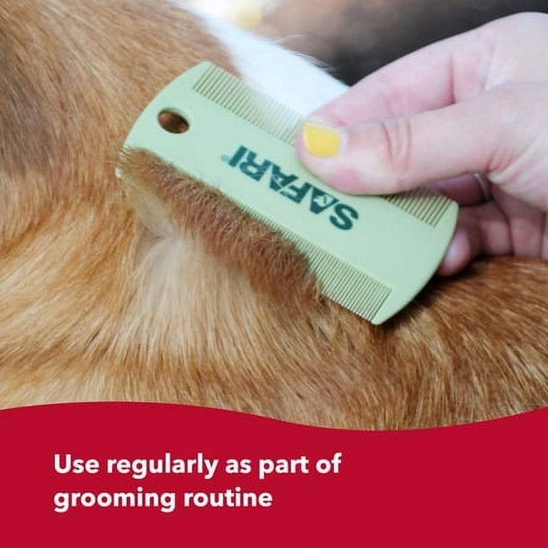 Flea grooming for online dogs