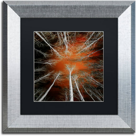 Trademark Fine Art "Something Growing In Me" Canvas Art by Philippe Sainte-Laudy Black Matte, Silver Frame