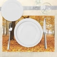 thumbnail image 3 of Ambesonne Fall Place Mats Set of 4, Misty Autumn Park Rustic, Standard Size, Orange Brown, 3 of 6