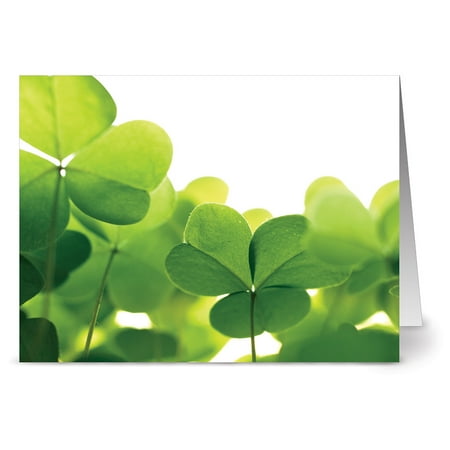 Funny St Patricks Day Card - 24 St. Patrick's Day Note Cards - Clovers - Blank Cards - Green Envelopes Included