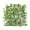 Feuilles de Patate Douce, variante sur Treillis Extensible Plante Artificielle Jardin Mur Vert Feuille Lierre Bois Clôture 1 m-2. Feuilles de Patate Douce