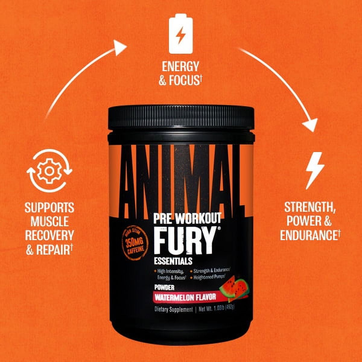 Animal Fury, Pre Workout Powder Supplement for Energy and Focus, watermelon, 30 Servings
