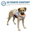 thumbnail image 5 of Paws Aboard Dog Life Jacket, Neoprene Dog Life Vest for Swimming and Boating - Grey/Orange, 5 of 7