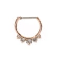 thumbnail image 3 of Septum Clicker Ring with Multiple Cz Gems 16g Cartilage Septum Tragus Rook, 3 of 13