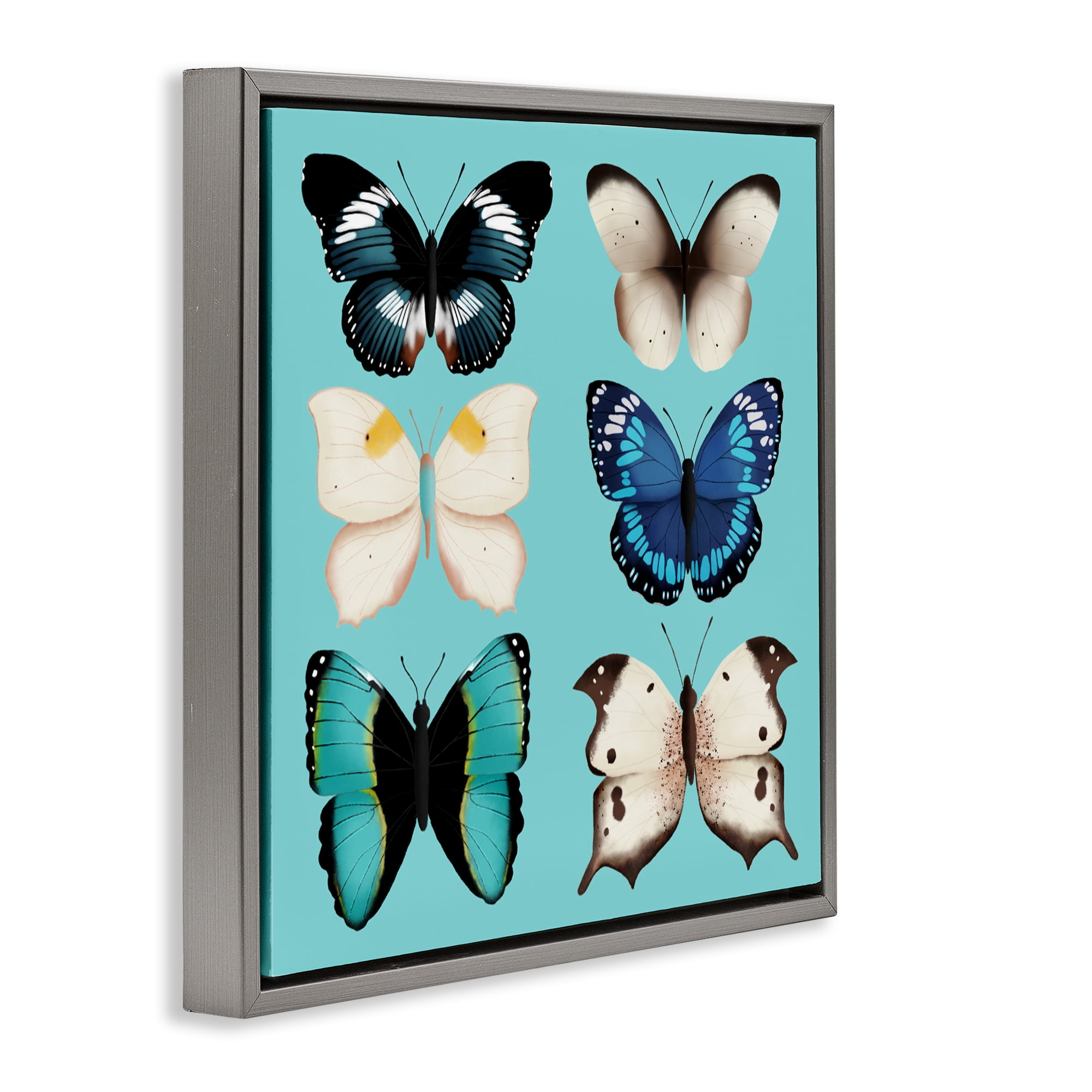 Stupell Industries Six Diverse Butterflies on Turquoise Gray Framed Floater Canvas Wall Art, design by Metka Hiti