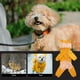 thumbnail image 4 of ADDHAT Chaqueta Impermeable Con Capucha Para Perros Con Ajuste Y Cómodo, 4 of 8