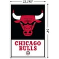thumbnail image 3 of NBA Chicago Bulls - Logo 21 Wall Poster with Push Pins, 22.375" x 34", 3 of 5