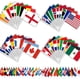 thumbnail image 1 of YanonmyfdWorld Cup Handheld Flags, 48 Countries International Stick Flags with Plastic White Pole for World Cup Decorations 2026- Double Sided Polyester Fabric Small Flag on Stick for Olympic Party, 1 of 12