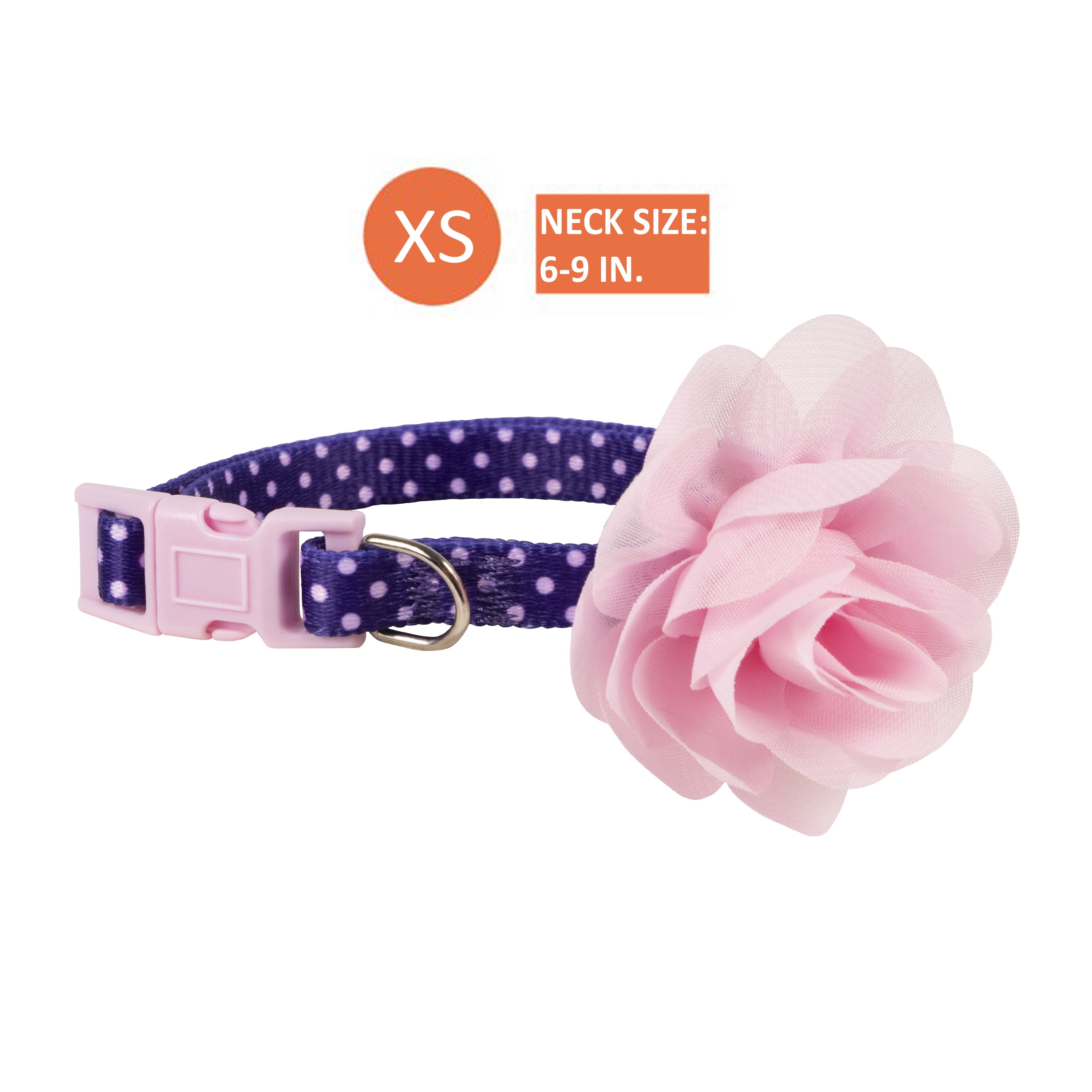 Large Dot Dainty Personalized Dog Collar