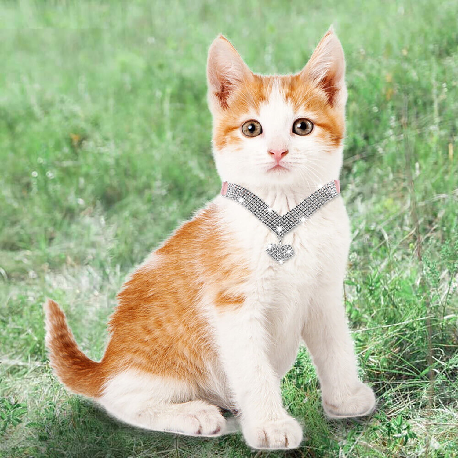 Cute girl cat collars hot sale