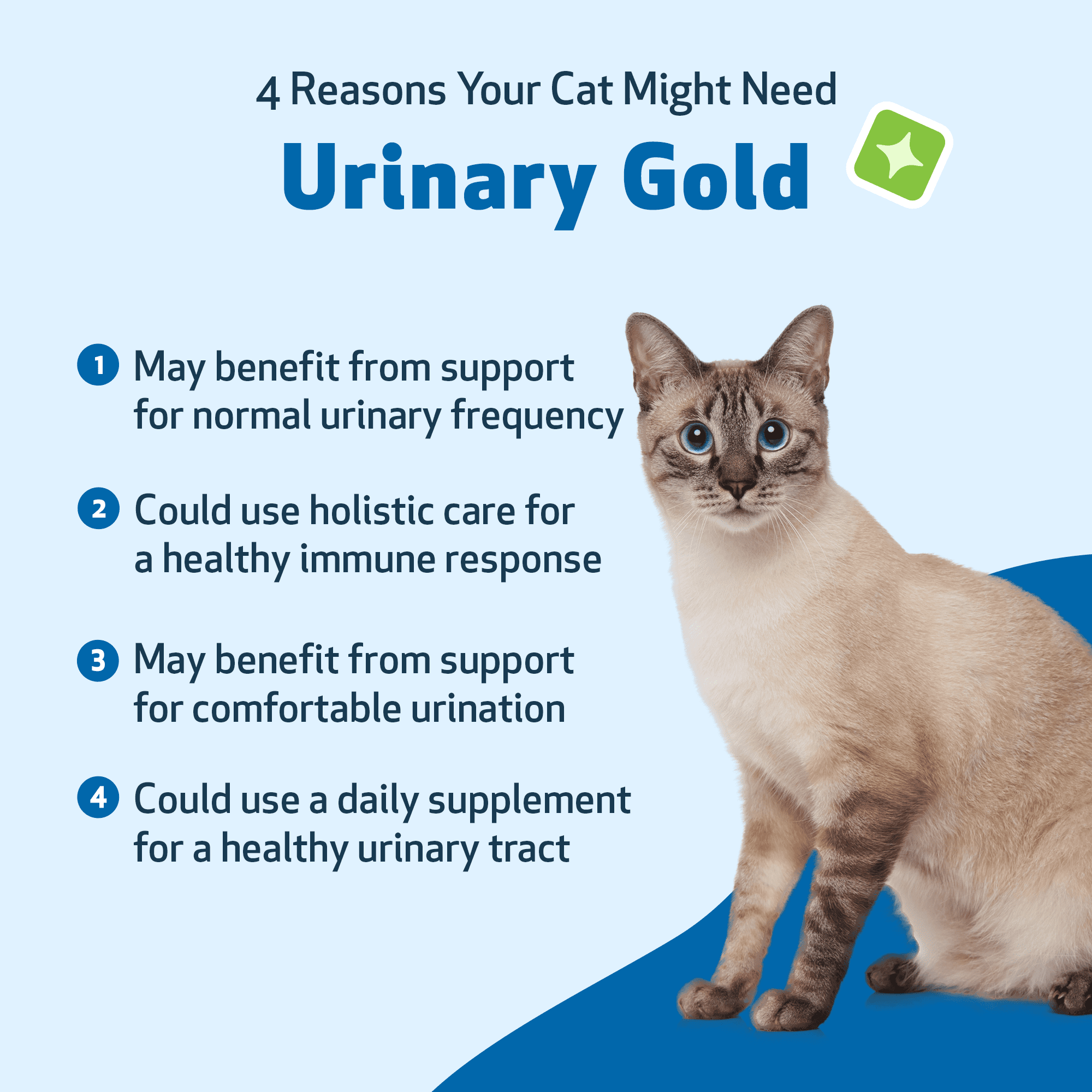 Photo inspiration: Picture Idea: Pet Wellbeing Urinary Gold For Cats Natural Thailand