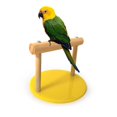 thumbnail image 2 of AMONIDA Wooden Smooth Standing Frame Bird Perch Pole, Bird Standing Frame, Animals Pets For Parrots Birds, 2 of 8