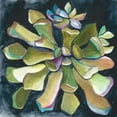 thumbnail image 2 of Zarris, Chariklia 12x12 White Modern Wood Framed Museum Art Print Titled - Succulent Rosette I, 2 of 4