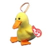 Ty Jingle: Quackers the Duck | Stuffed Animal | MWMT's