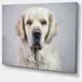 thumbnail image 2 of Triste et Beau Chien - Impression sur Toile d'Animal, 2 of 3