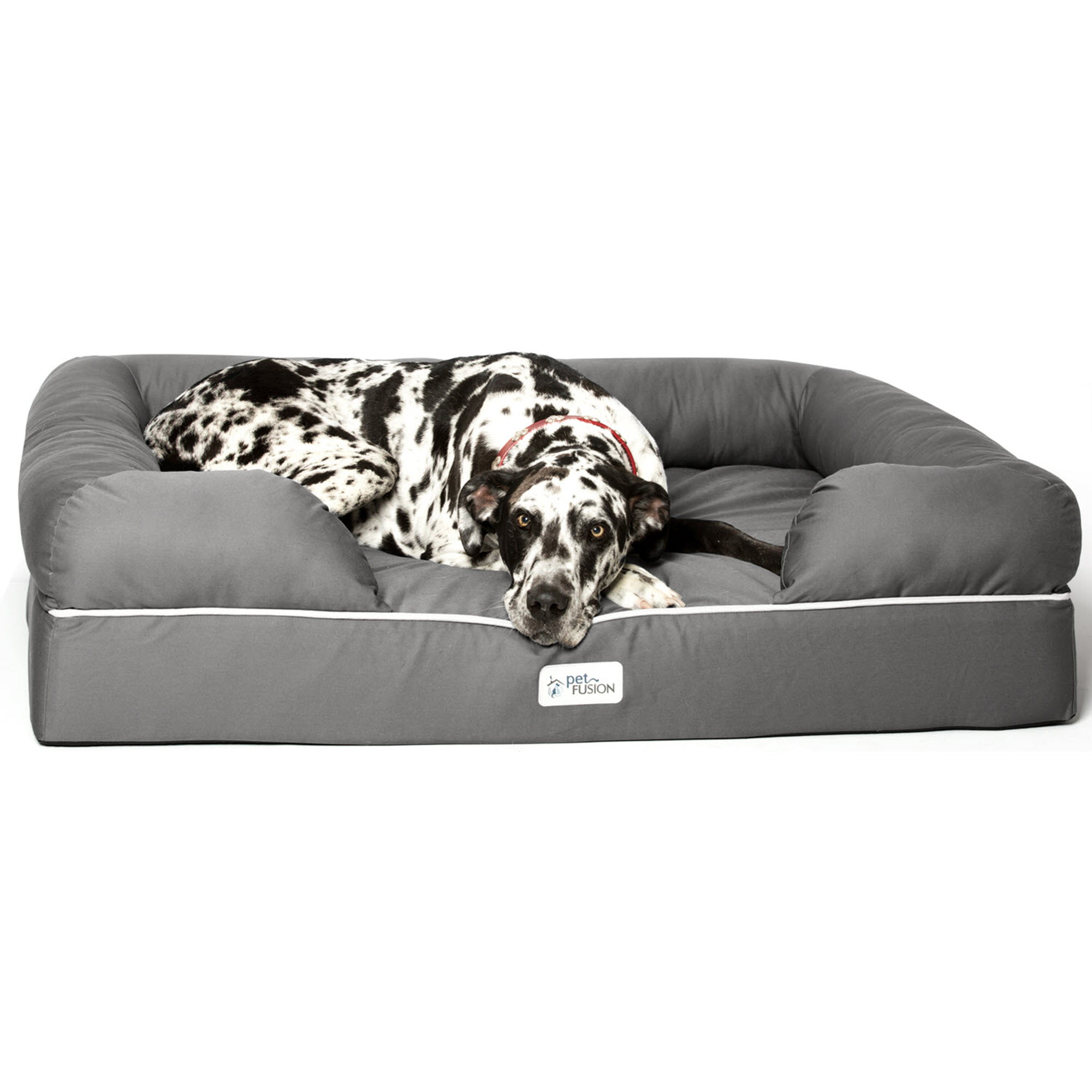 cheap dog beds xxl