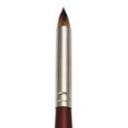 thumbnail image 1 of CEPILLO REAL ROYAL BRUSH  RYL9500514, 1 of 1