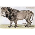 thumbnail image 3 of Dogherty, Felix 14x10 Black Modern Framed Museum Art Print Titled - King of The Beasts, 3 of 5