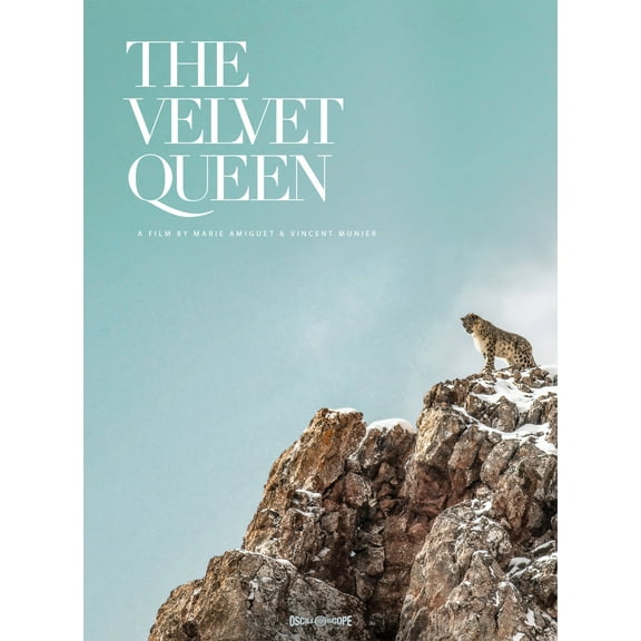 Oscilloscope - The Velvet Queen [BLU-RAY]