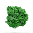 thumbnail image 2 of Bergamo Art 95g Preserved Reindeer Moss in Green, 2 of 5