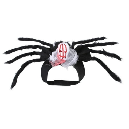 

24 Araneid Skeleton Araneid Scary Scary Araneid Decorations With Indoor Outdoor Decorations Yard Home Parties Spook Room Décor