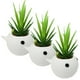 thumbnail image 1 of Maceta Decorativa Ballena 3D BalleFlowyWhite 3 Pzs 6.5x11cm Azul No incluye Planta., 1 of 2