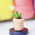 thumbnail image 1 of Houderco 8Ud Materiales Para Manualidades Con Fieltro De Lana Y Adornos De Cactus, 1 of 7