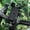 Black#5451, variant on Bicycle Phone Mount Handlebar Bracket | Universal Road & Mountain Bike Holder | 360° Rotating Lock | Durable Shock-Resistant Plastic | Secure | Fits 6.3in × 4.72in Phones | Quick One-Touch Clamp