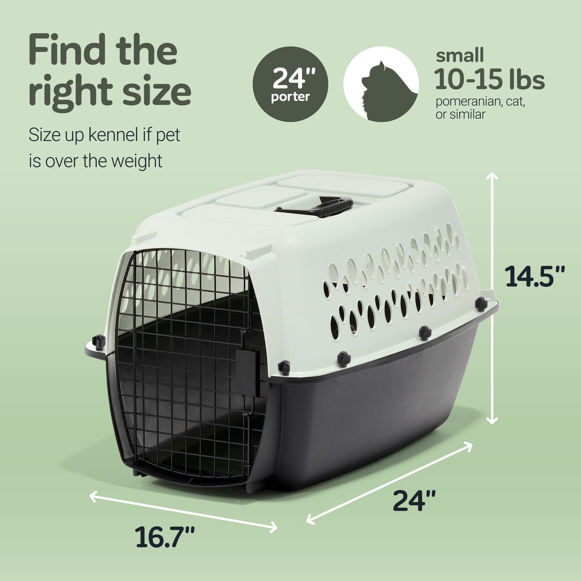 Petmate Pet Porter Fashion Travel Dog Kennel Portable Plastic Carrier, Small 24" for Dogs 15-20 lb, Green